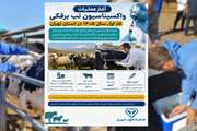 آغاز عملیات سراسری واکسیناسیون تب برفکی (فاز اول سال ۱۴۰۵) در استان تهران